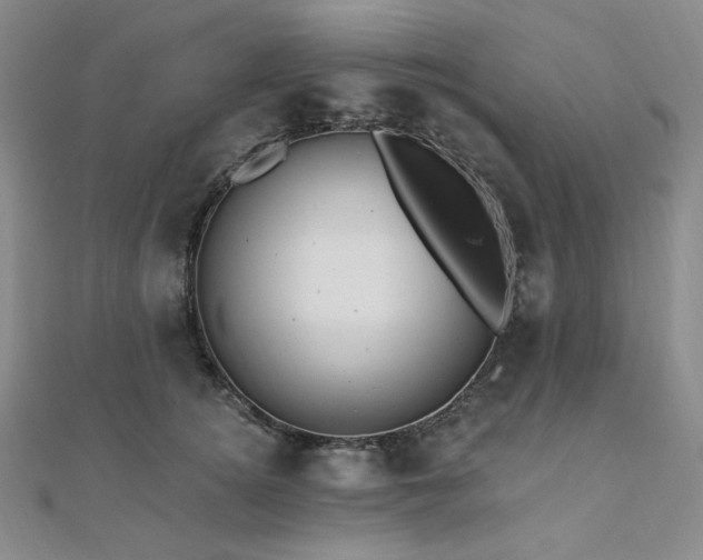 X0000112100756200908041511