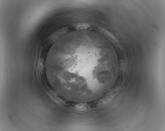 X0000112100761200908041511