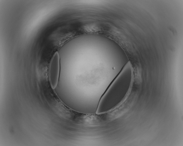 X0000112100762200908041511