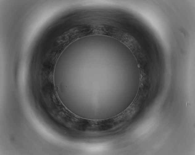 X0000112100765200908041511