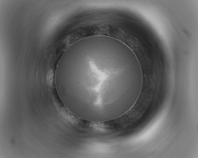 X0000112100767200908041511