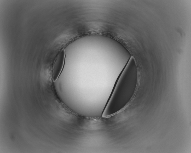 X0000112100768200908041511