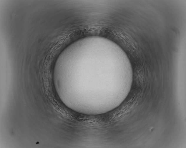 X0000112100769200908041510