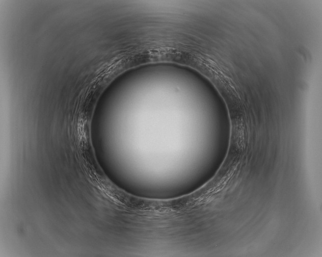 X0000112100770200908041510
