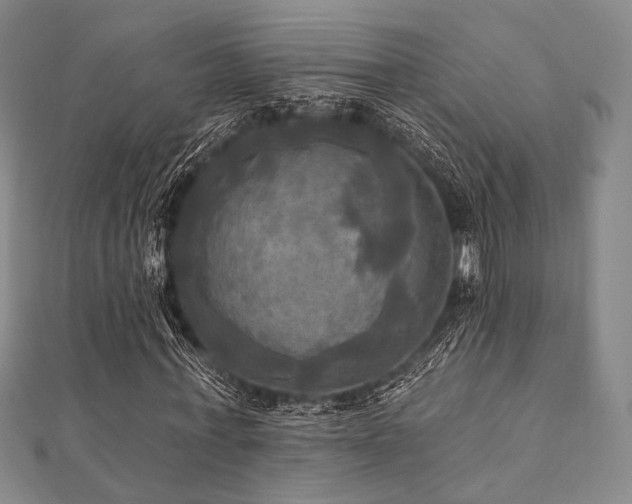 X0000112100771200908041510