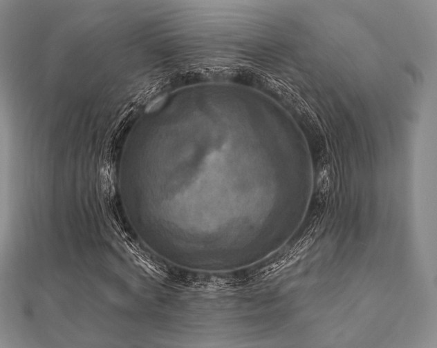 X0000112100772200908041510