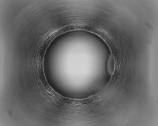 X0000112100773200908041510