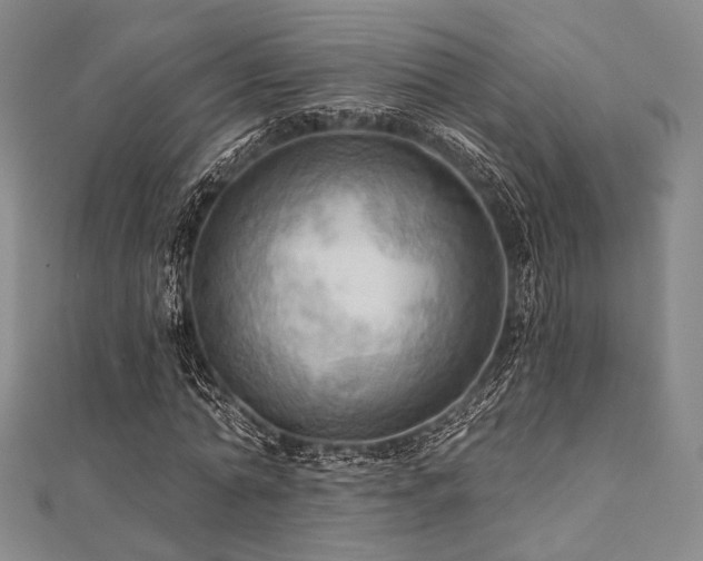 X0000112100774200908041510