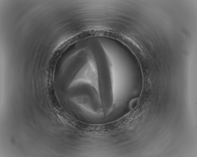X0000112100775200908041510