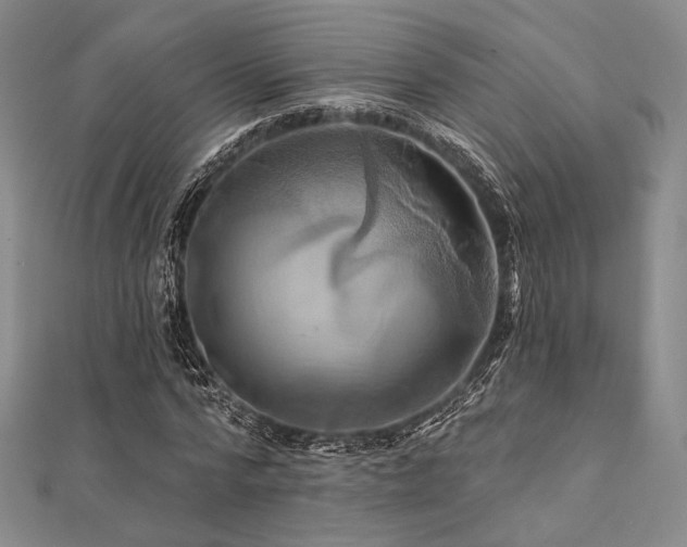 X0000112100776200908041510