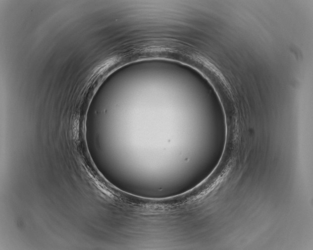 X0000112100777200908041510
