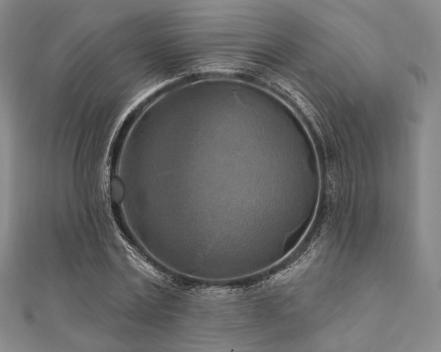 X0000112100779200908041510