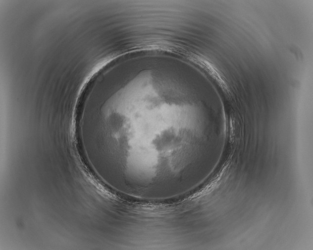 X0000112100780200908041510