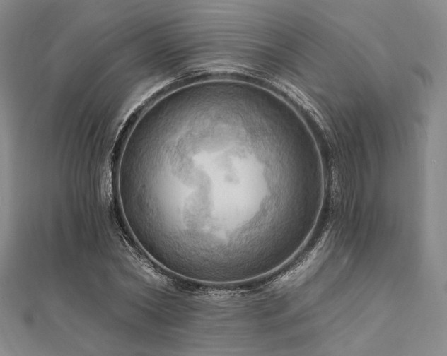 X0000112100782200908041510