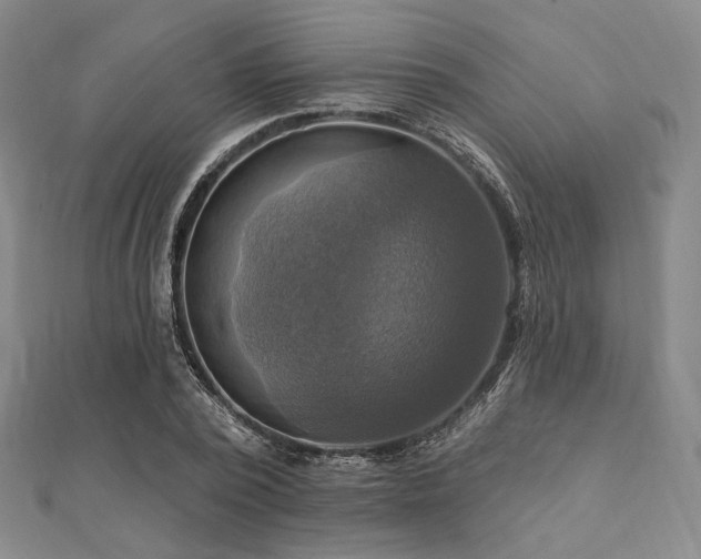 X0000112100784200908041510