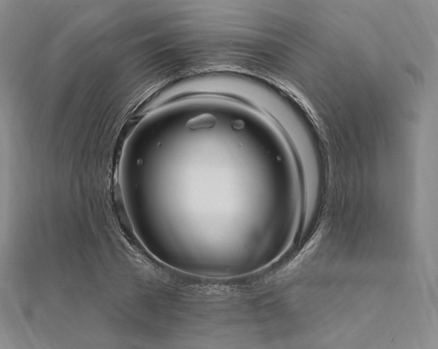 X0000112100785200908041510
