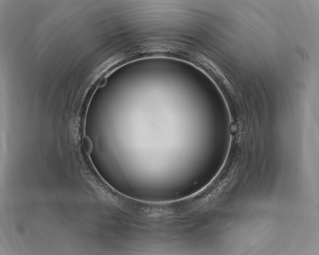X0000112100786200908041510