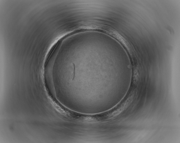 X0000112100787200908041510