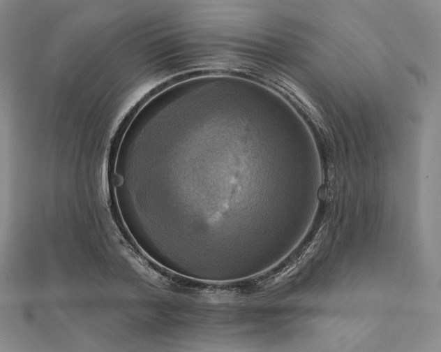 X0000112100788200908041510
