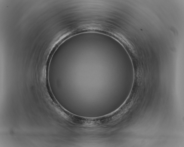 X0000112100790200908041510