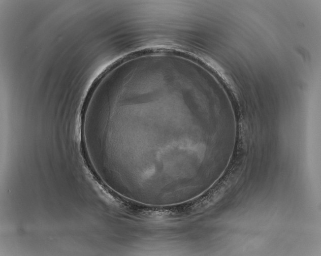 X0000112100791200908041510