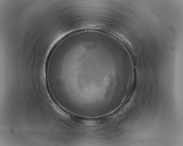 X0000112100792200908041510