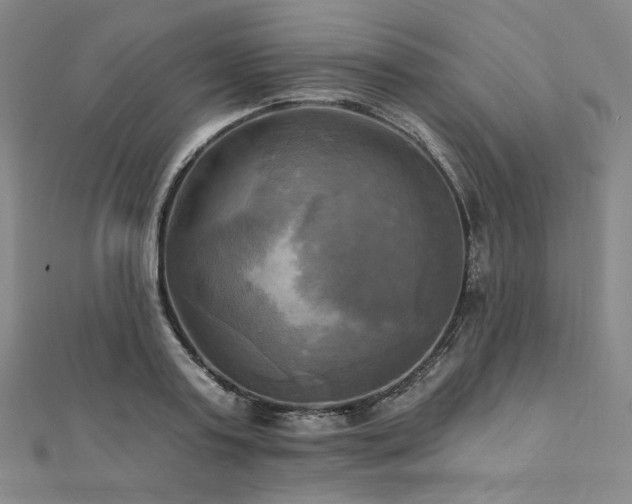 X0000112100795200908041510