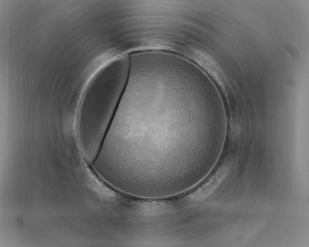 X0000112100797200908041510