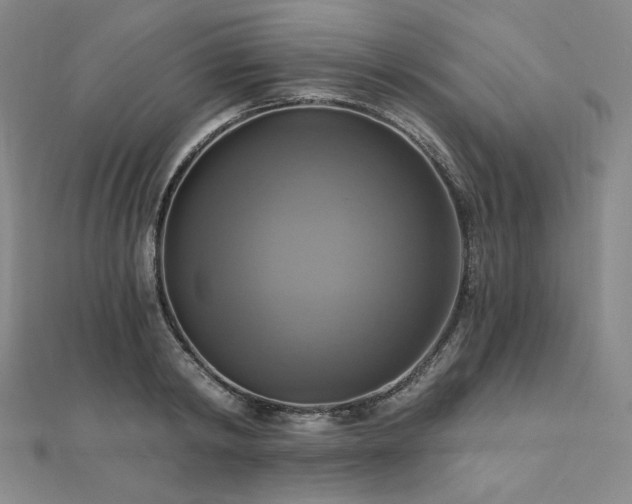 X0000112100798200908041510