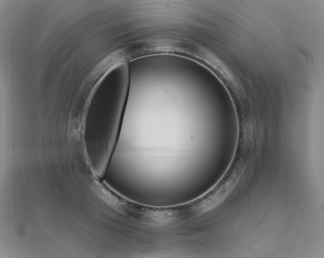 X0000112100801200908041510