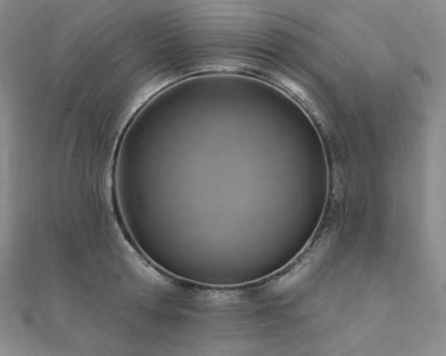 X0000112100802200908041510