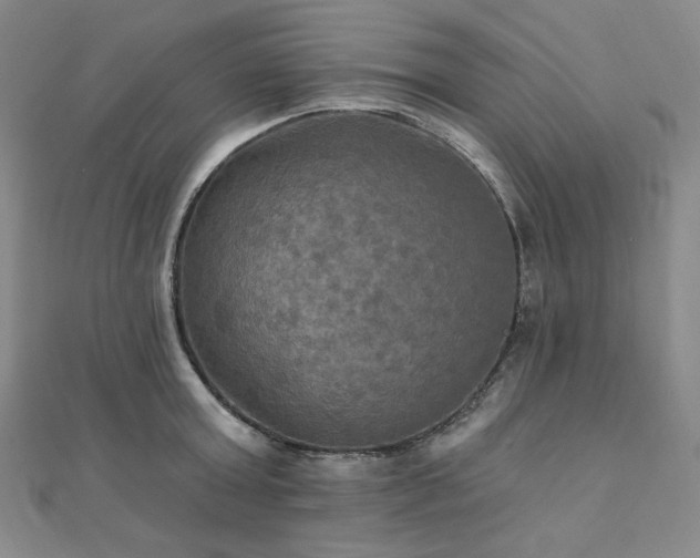 X0000112100803200908041510