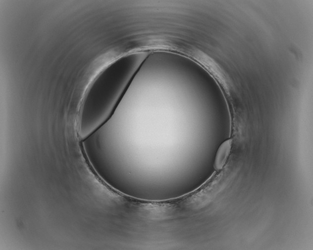 X0000112100805200908041510
