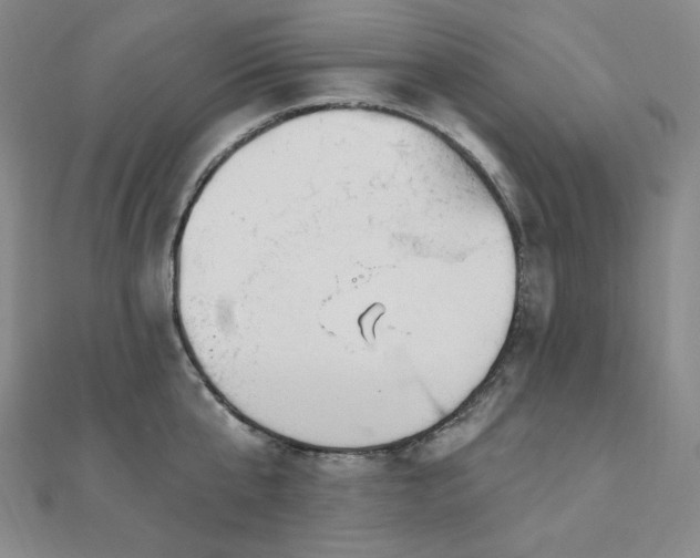 X0000112100807200908041510