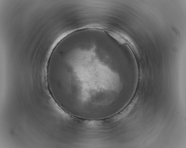 X0000112100808200908041510