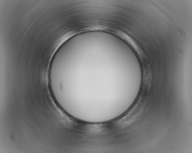 X0000112100810200908041510