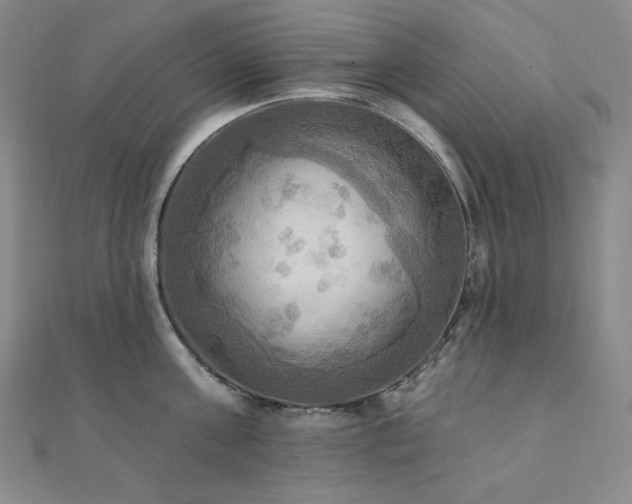 X0000112100811200908041510