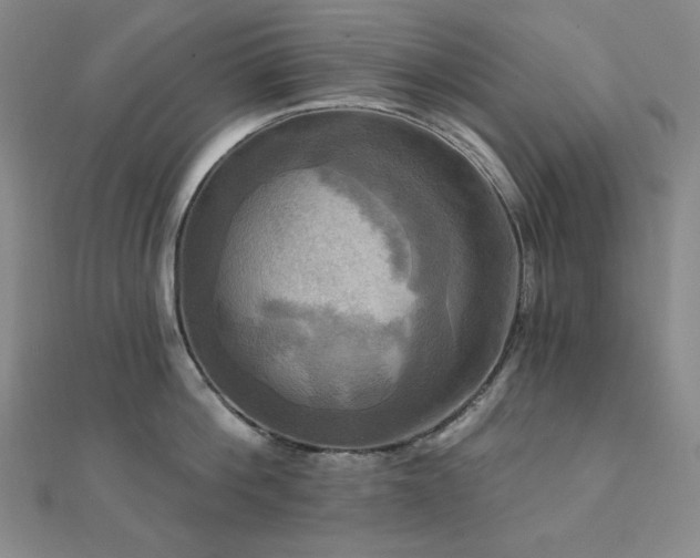 X0000112100812200908041510