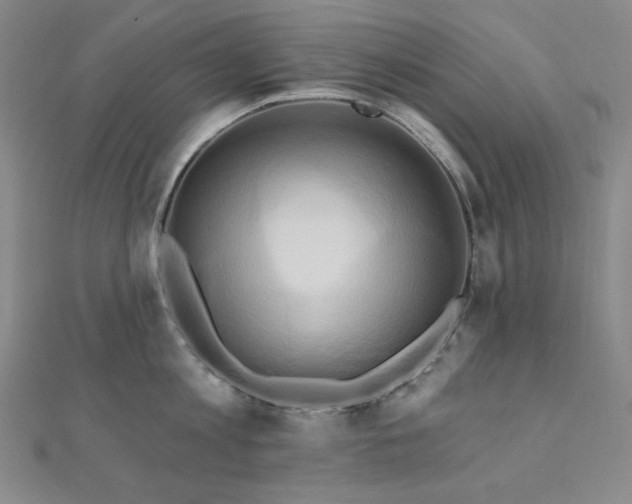 X0000112100813200908041510