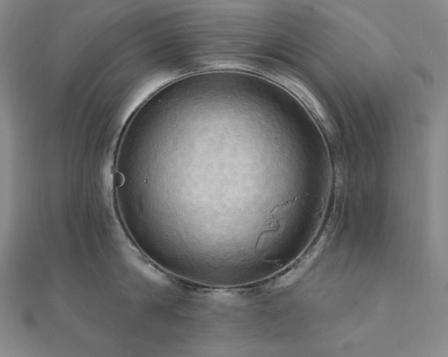 X0000112100814200908041510
