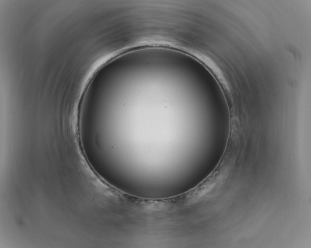 X0000112100815200908041510