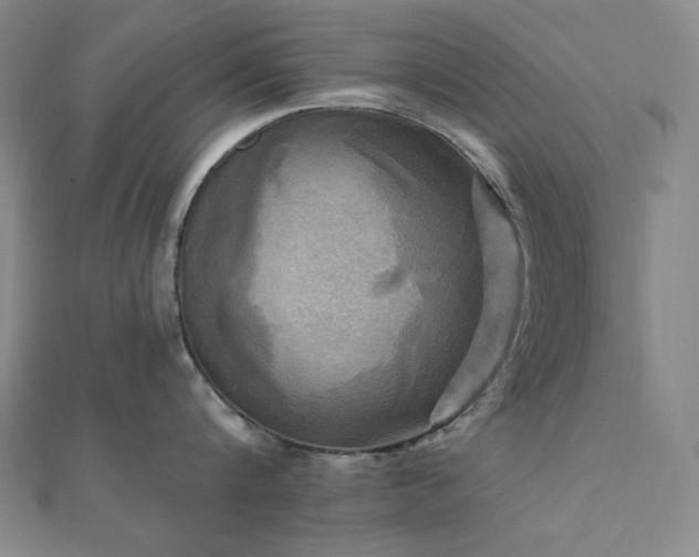 X0000112100816200908041509