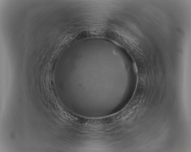 X0000112100817200908041509