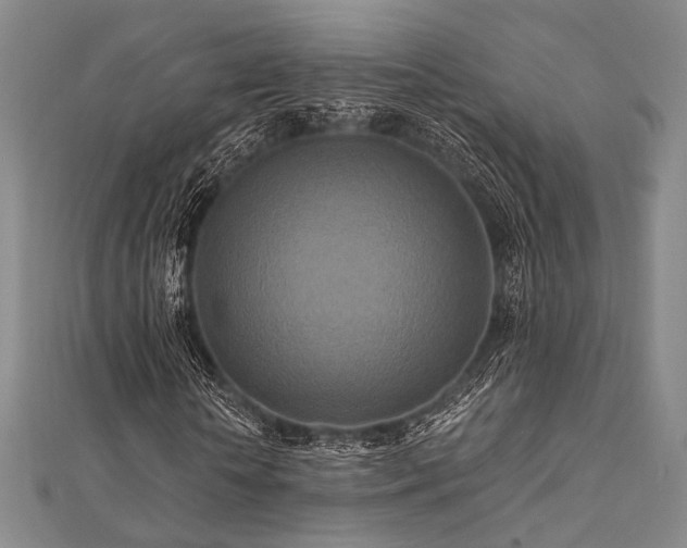 X0000112100818200908041509