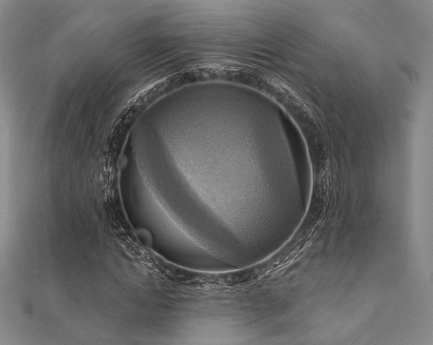 X0000112100822200908041509