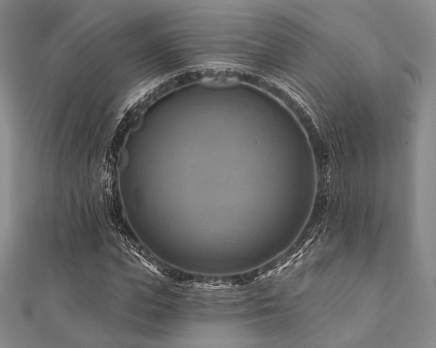 X0000112100823200908041509