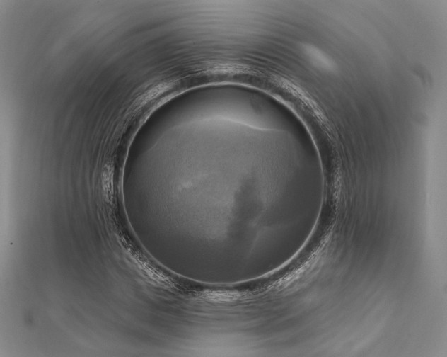 X0000112100825200908041509