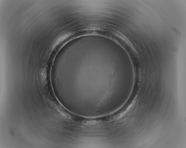 X0000112100826200908041509