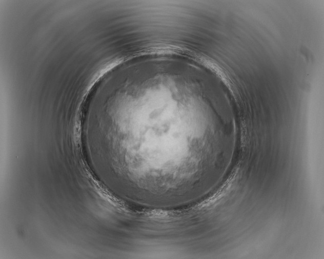 X0000112100827200908041509