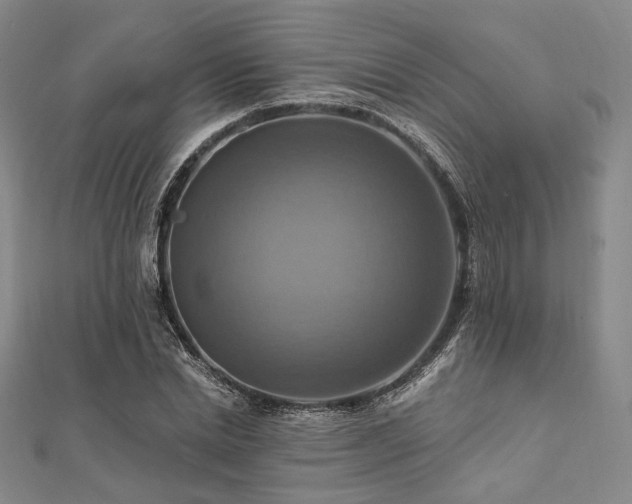 X0000112100830200908041509